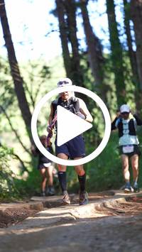 BIB:  <button type="button" onclick="openModal(26787911)" class="btn btn-primary btn-sm float-right" data-toggle="modal" data-target=".modal-high-quality">
                <i class="fa fa-download"></i> Download
                </button>